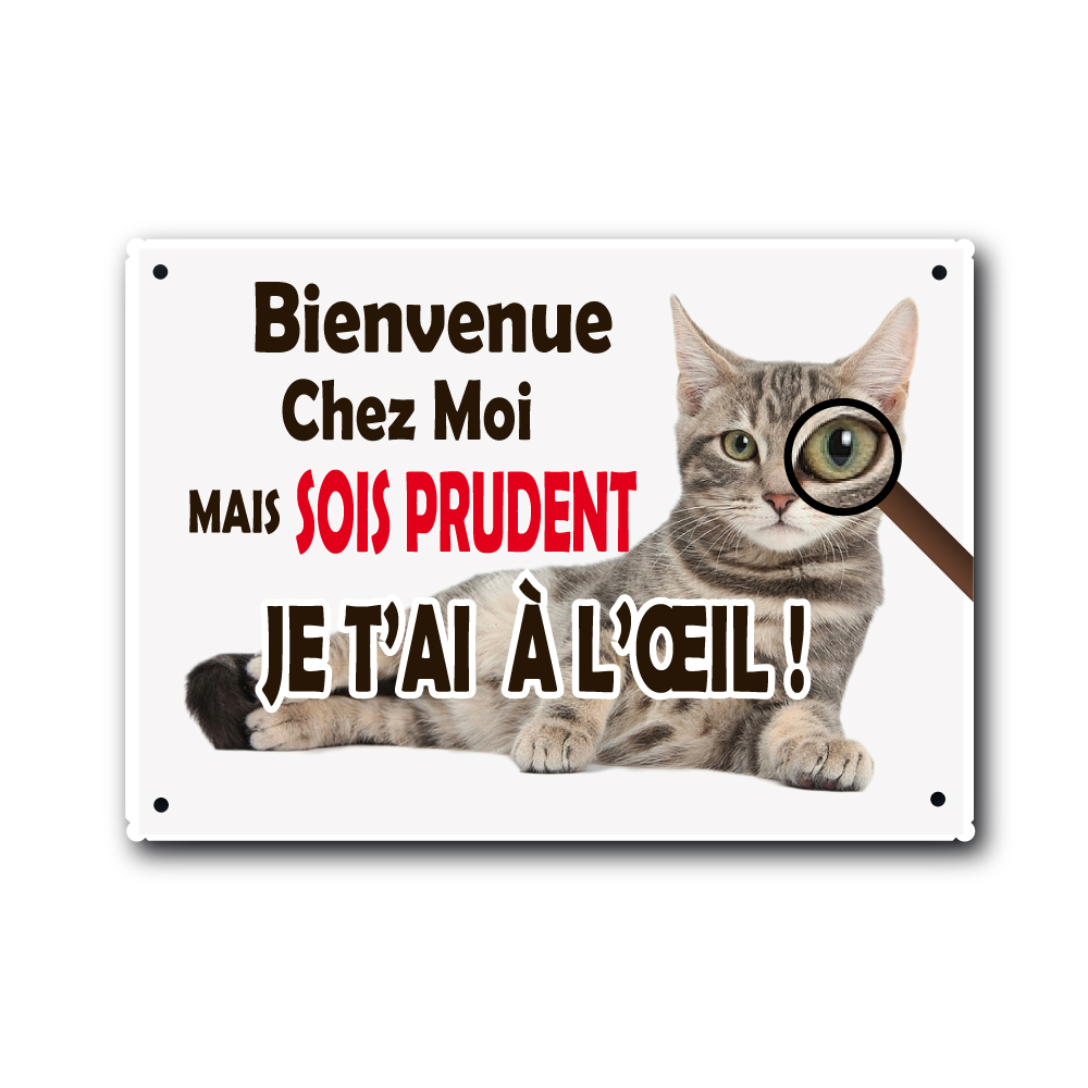 plaque de rue humoristique