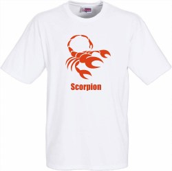 tee shirt humoristique